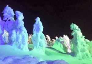 樹氷ライトアップ